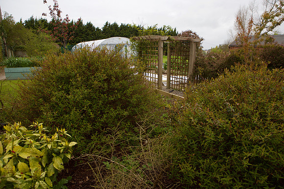 Kilmallock011