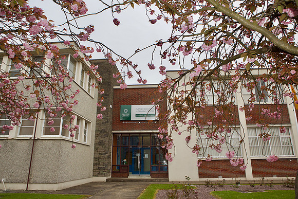 Kilmallock003