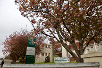 Kilmallock006