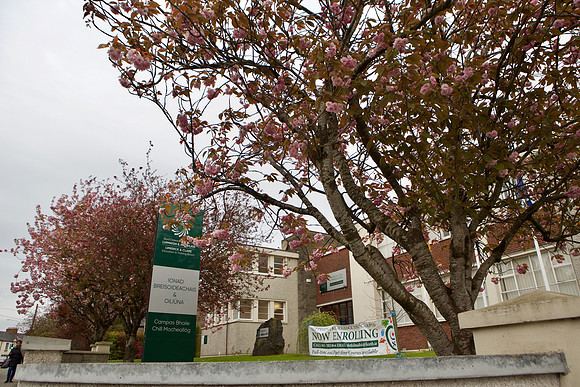 Kilmallock006