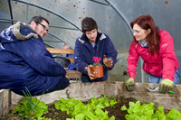03 Horticulture016