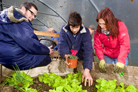 03 Horticulture012