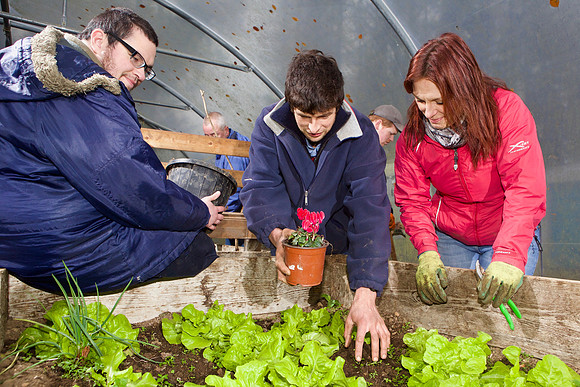 03 Horticulture012