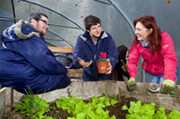 03 Horticulture015