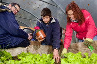 03 Horticulture013