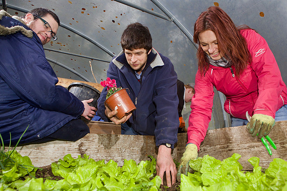 03 Horticulture013