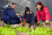03 Horticulture014