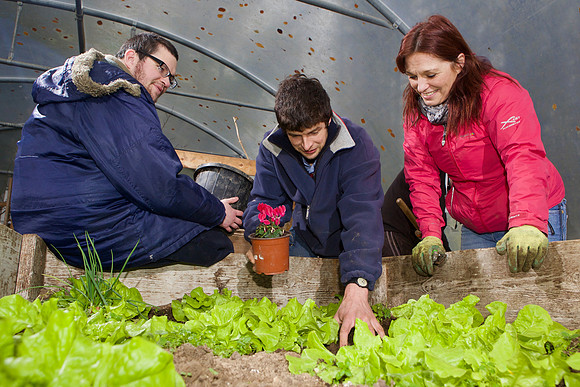 03 Horticulture014