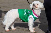 StPatA'Feale017