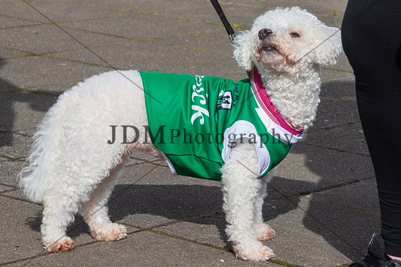 StPatA'Feale017