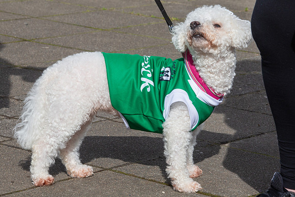StPatA'Feale017